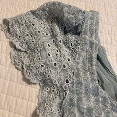 America Eagle Blue Plaid Eyelet Crop Top Flutter Sleeve Babydoll Cottagecore XL