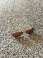 Women’s Oval Sunglasses Gold Metal Frame Brown Tinted Plastic Lenses Lightweight