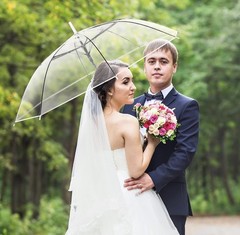 60 PCS Clear Wedding Umbrellas Bulk Transparent Auto Open Stick #2551Q T4