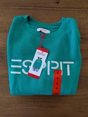 NWT ESPRIT Women’s Fleece Logo Crewneck Sweatshirt Green M MediumLl Costco